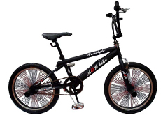 20"freestyle bicycle